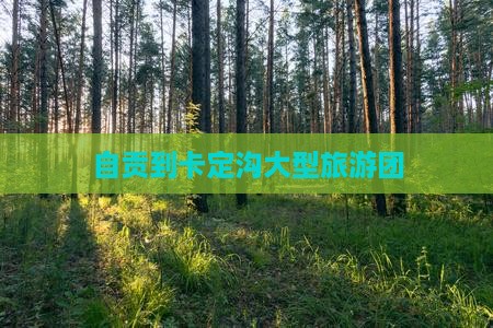 自贡到西藏卡定沟大型旅游团