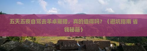 五月到西藏羊卓雍措六日游