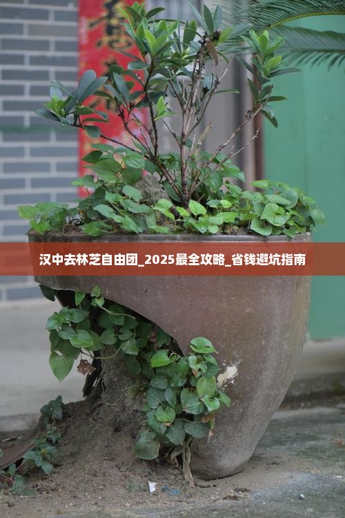 汉中去西藏林芝自由团