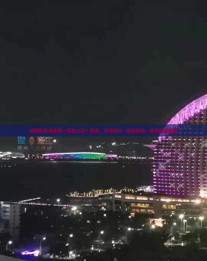 咸阳到西藏羊卓雍措一日