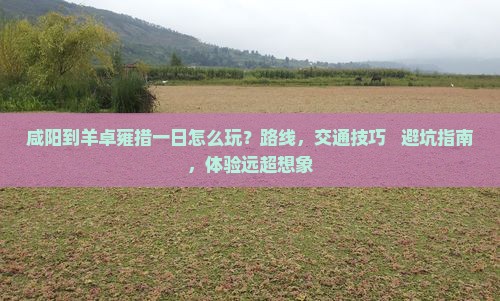咸阳到西藏羊卓雍措一日