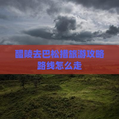 醴陵去西藏巴松措旅游