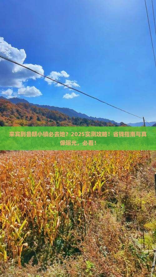 来宾到西藏鲁朗小镇必去地