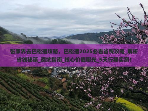 张家界去西藏巴松措攻略
