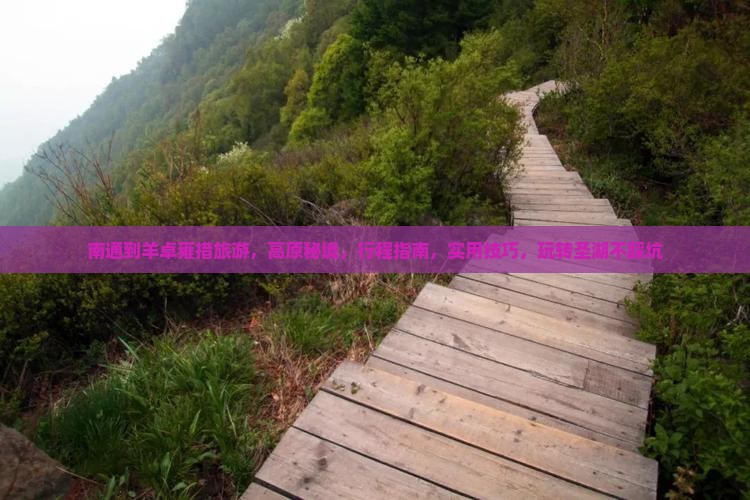 南通到西藏羊卓雍措旅游