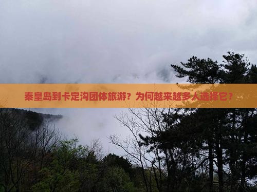 秦皇岛到西藏卡定沟团体旅游