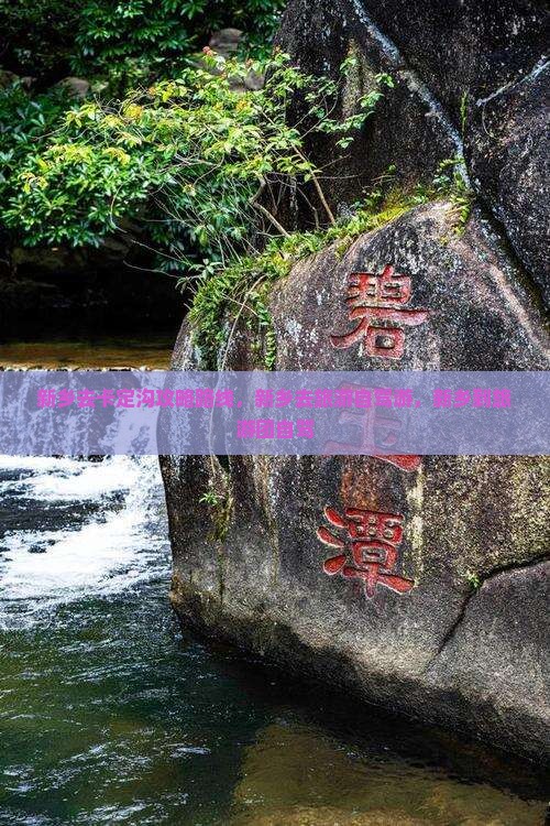 新乡去西藏卡定沟攻略