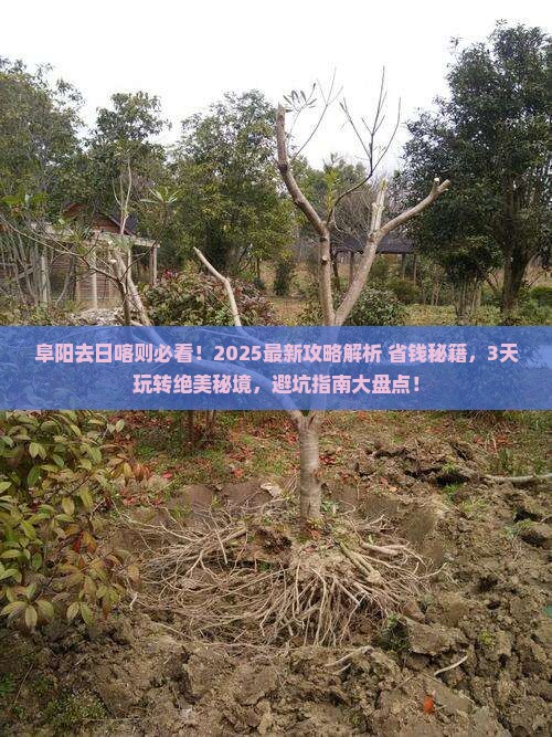 阜阳去西藏日喀则哪里玩