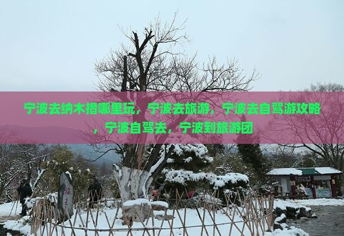 宁波去西藏纳木措哪里玩