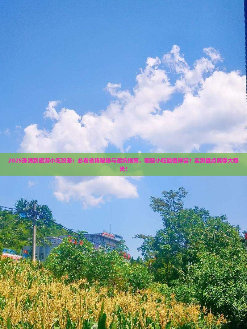 珠海到西藏旅游小吃