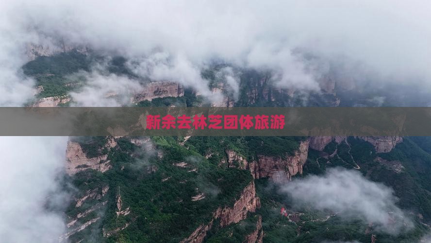 新余去西藏林芝团体旅游