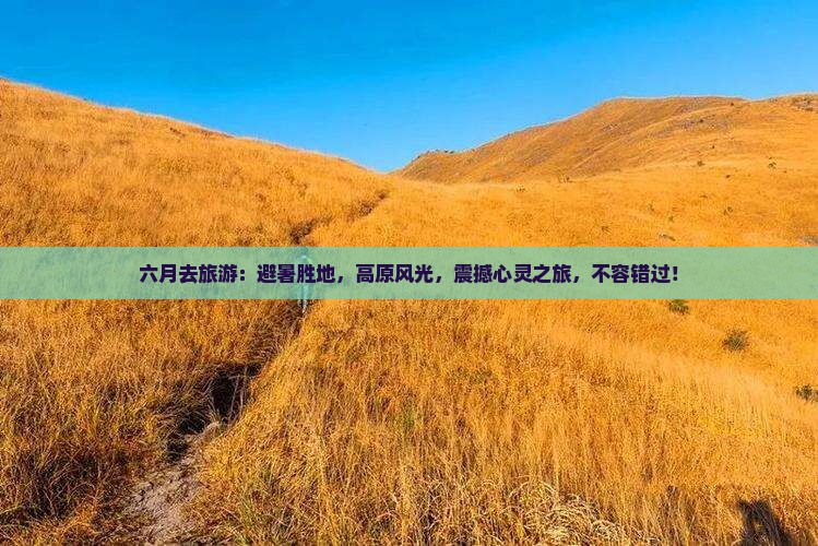 六月去西藏旅游