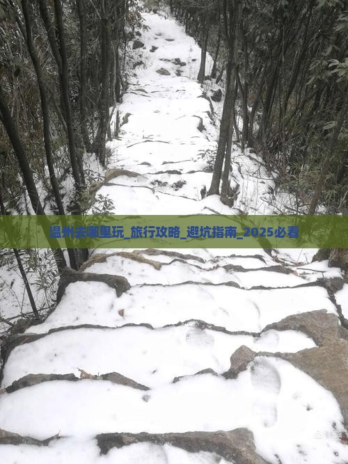 温州去西藏哪里玩