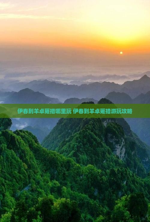 伊春到西藏羊卓雍措哪里玩