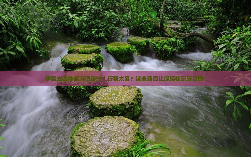 伊犁去西藏团体旅游