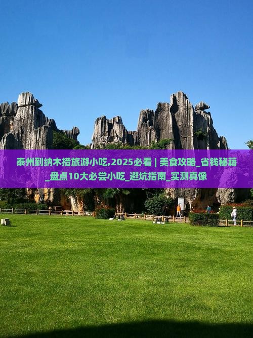 泰州到西藏纳木措旅游小吃
