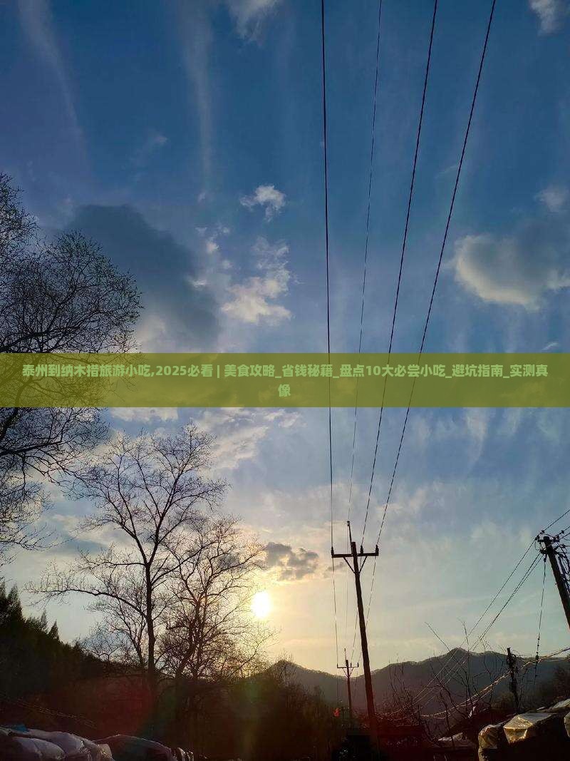 泰州到西藏纳木措旅游小吃