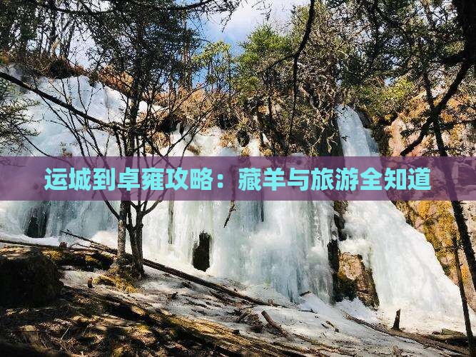 运城到西藏羊卓雍措旅游