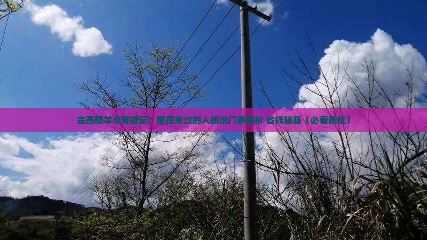 固原去西藏羊卓雍措门票