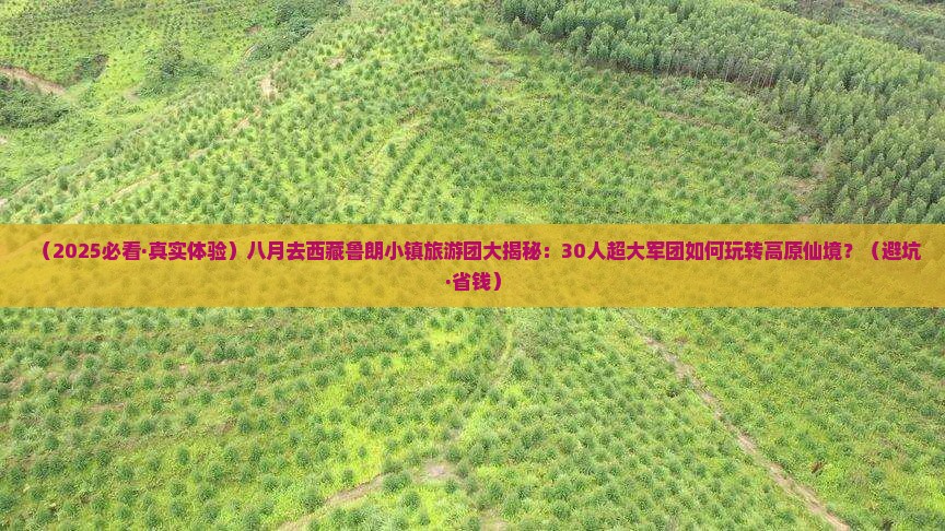 八月去西藏鲁朗小镇大型旅游团