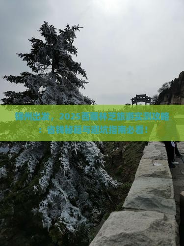锦州去西藏林芝旅游