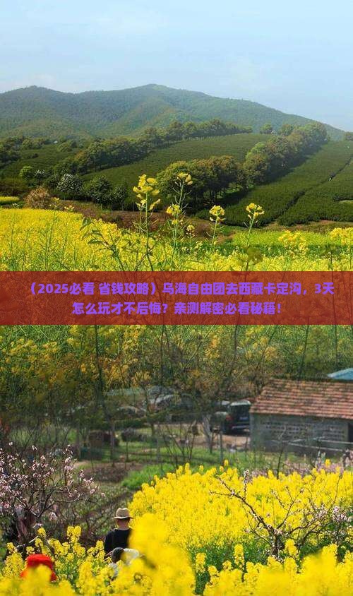 乌海市到西藏卡定沟自由团