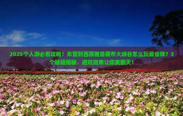 东营到西藏雅鲁藏布大峡谷个人游