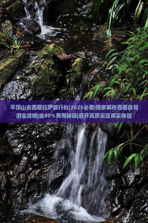 平顶山去西藏拉萨旅行社