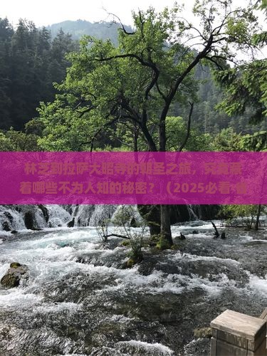 林芝去西藏大昭寺旅游