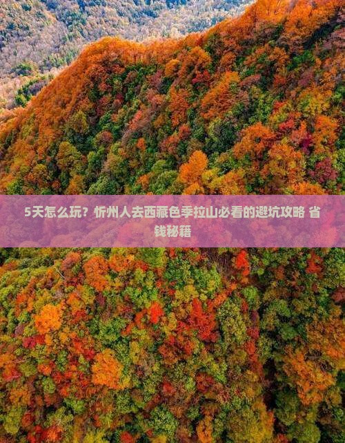 忻州去西藏色季拉山五日游