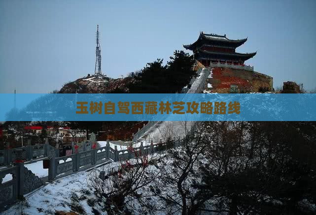 玉树去西藏林芝攻略