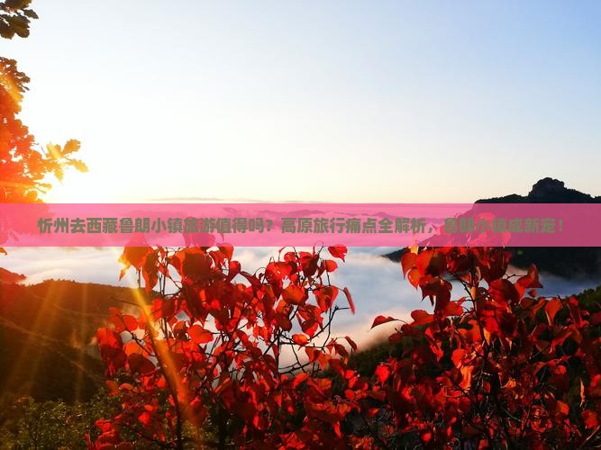 忻州去西藏鲁朗小镇旅游