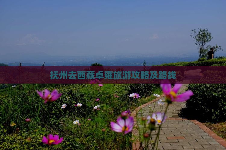 抚州去西藏羊卓雍措攻略
