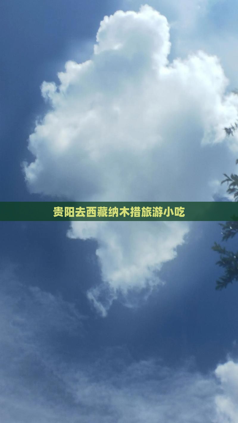 贵阳去西藏纳木措旅游小吃