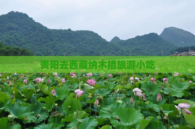 贵阳去西藏纳木措旅游小吃