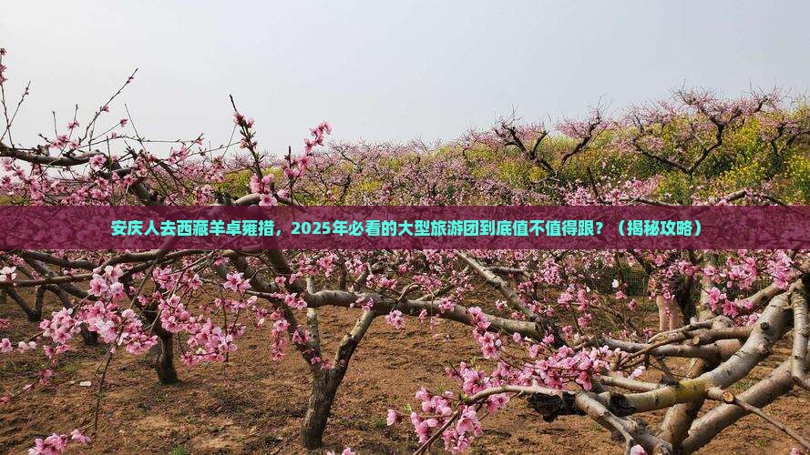 安庆去西藏羊卓雍措大型旅游团