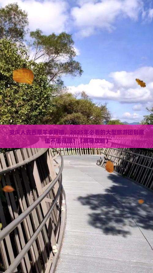 安庆去西藏羊卓雍措大型旅游团