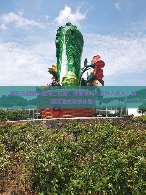 黄石去西藏卡定沟二日游