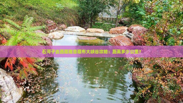 石河子去西藏雅鲁藏布大峡谷攻略