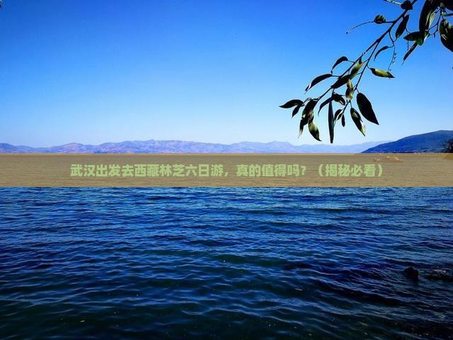 武汉到西藏林芝六日游