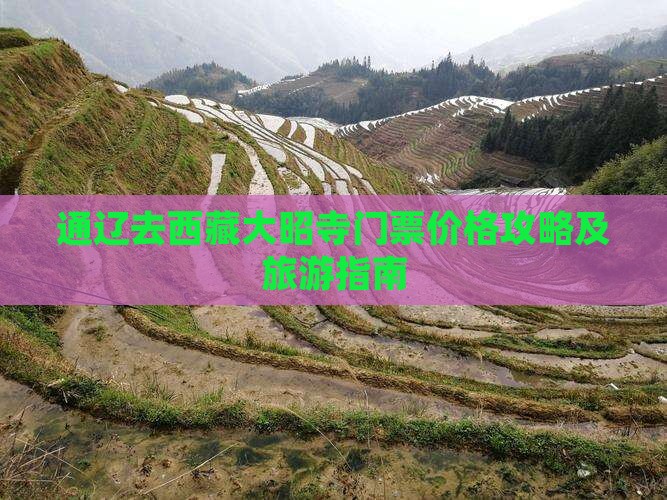 通辽市去西藏大昭寺门票