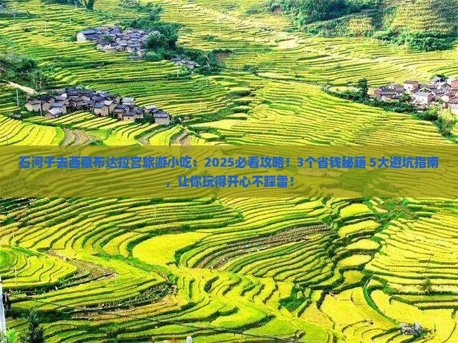 石河子去西藏布达拉宫旅游小吃