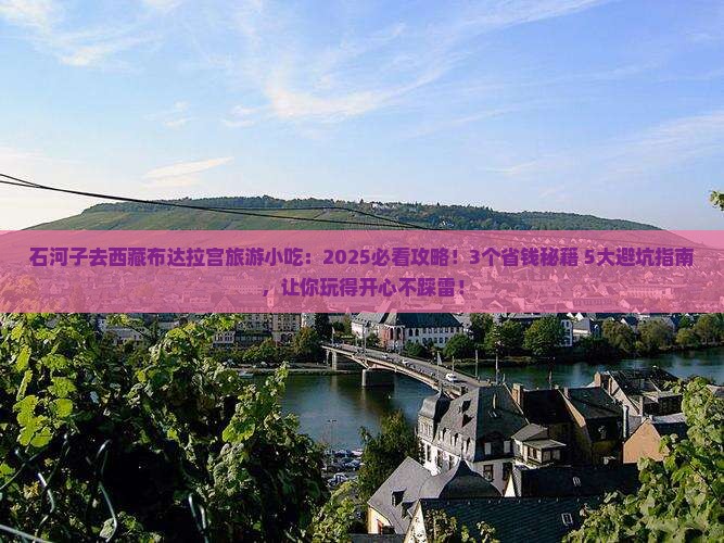 石河子去西藏布达拉宫旅游小吃
