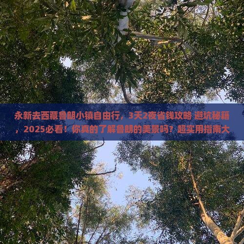 永新去西藏鲁朗小镇自由行