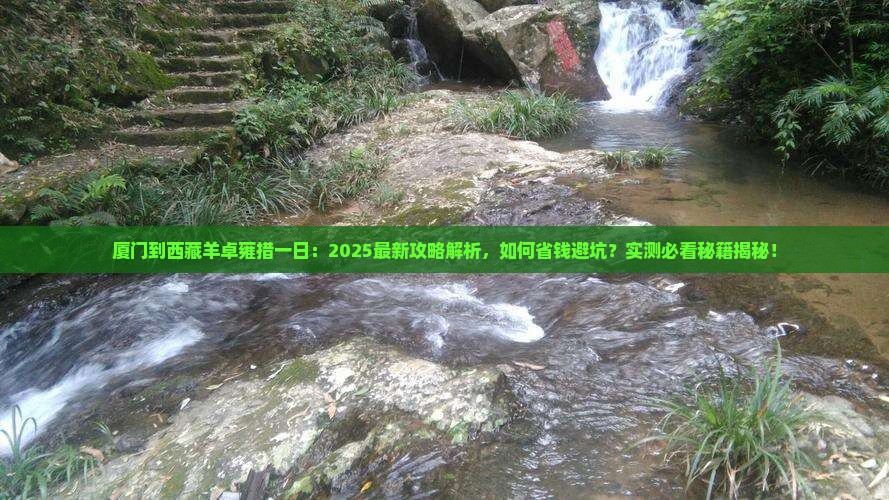 厦门到西藏羊卓雍措一日