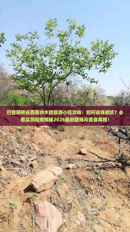 巴音郭楞去西藏纳木措旅游小吃