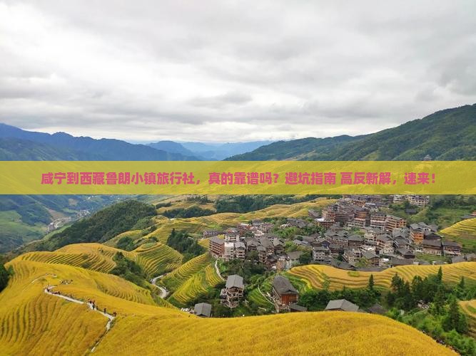 咸宁到西藏鲁朗小镇旅行社