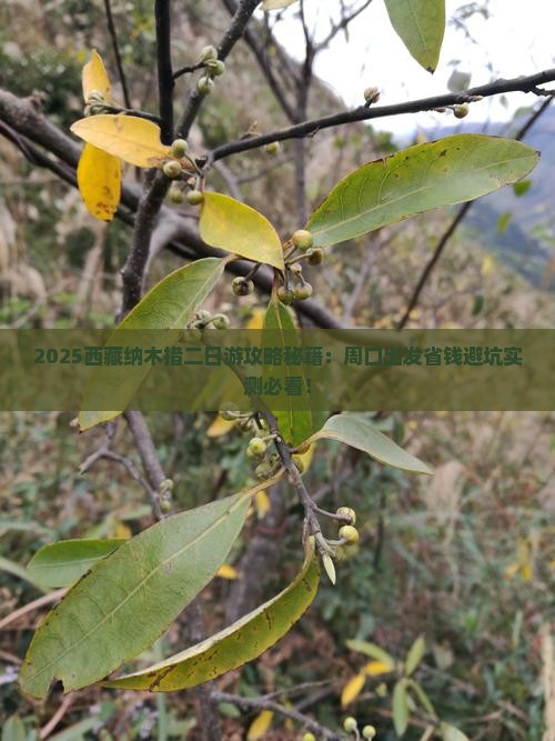 周口到西藏纳木措二日游