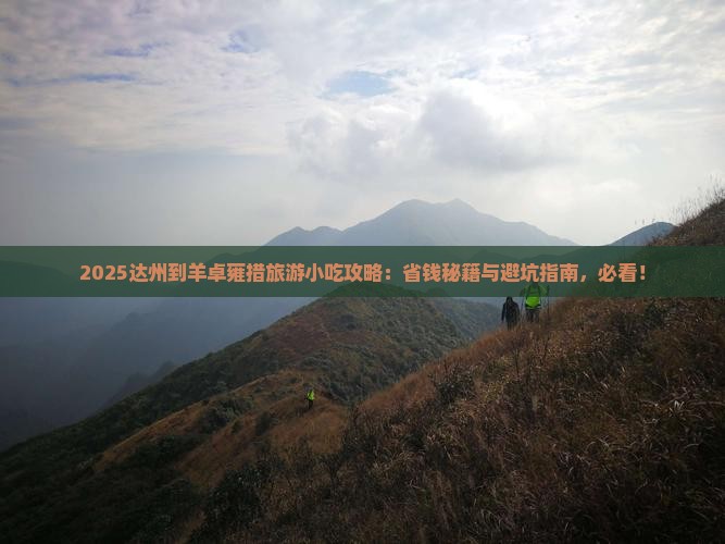 达州到西藏羊卓雍措旅游小吃