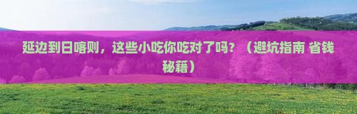 延边到西藏日喀则旅游小吃
